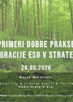 Primeri dobre prakse integracije ESG v strategijo