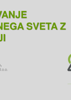 Sodelovanje nadzornega sveta z revizorji  ("Izobraževanje za nadzornike")