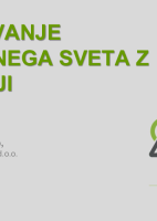 Sodelovanje nadzornega sveta z revizorji  ("Izobraževanje za nadzornike")