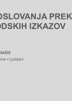 Nadzor poslovanja preko računovodskih izkazov ("Izobraževanje za nadzornike")_I. del