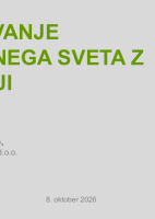 Sodelovanje nadzornega sveta z revizorji  ("Izobraževanje za nadzornike")