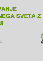 Sodelovanje nadzornega sveta z revizorji  ("Izobraževanje za nadzornike")