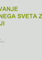 Sodelovanje nadzornega sveta z revizorji  ("Izobraževanje za nadzornike")