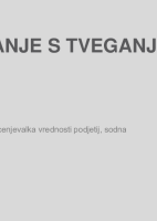 Upravljanje s tveganji  ("Izobraževanje za nadzornike")