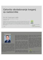 Upravljanje s tveganji ("Izobraževanje za nadzornike")