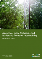 A practical guide for boards leadership teams on sustainability