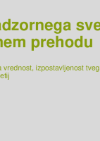 Vloga nadzornega sveta v trajnostnem prehodu