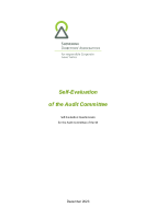 Self-evaluation Questionnaire for the Audit Committee