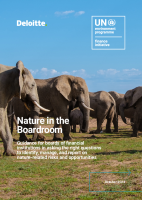 Nature in the Boardroom - Guidance for boards of financial institutions in asking the right questions to identify, manage, and report on nature-related risksportunities