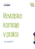 Rezultati ankete - Revizijske komisije v Sloveniji 2017