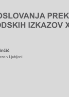 Nadzor poslovanja preko računovodskih izkazov ("Izobraževanje za nadzornike")_II. del