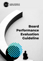 Board Performance Evaluation Guideline
