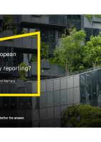 How Can Boards Steer Sustainability Reporting