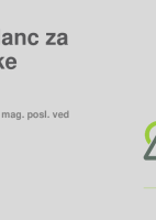 Nadzor nad finančnim poslovanjem družbe - branje bilanc za nadzornike