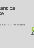 Nadzor nad finančnim poslovanjem družbe - branje bilanc za nadzornike