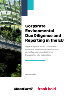 Legal Analysis: Corporate Environmental Due Diligence and Reporting in the EU