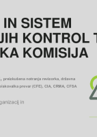 Revizija in sistem notranjih kontrol ter revizijska komisija