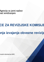 Smernice za revizijske komisije za spremljanje izvajanja obvezne revizije računovodskih izkazov_predstavitev