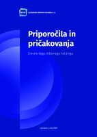 Priporočila in pričakovanja Slovenskega državnega holdinga, d.d.