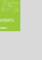 Upravljanje skupin podjetij