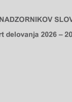Strategija ZNS 2029