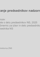 Uvod v izobraževanje predsednikov nadzornih svetov