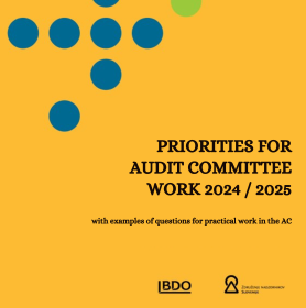 Priorities for Audit Committee Work 2024 / 2025
