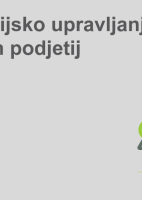 Okvir upravljanja in razmerja, organi vodenja in nadzora, lojalnost družbi