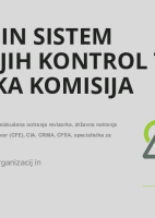 Revizija in sistem notranjih kontrol ter revizijska komisija