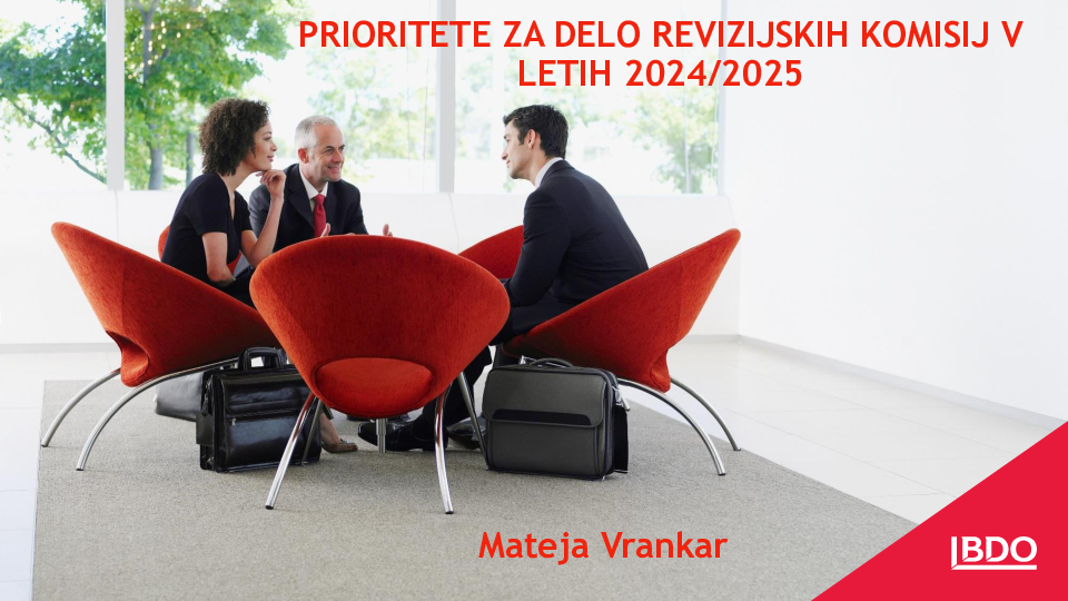 Proritete za delo revizijskih komisij 2024/2025