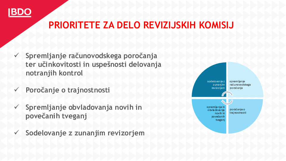 Proritete za delo revizijskih komisij 2024/2025