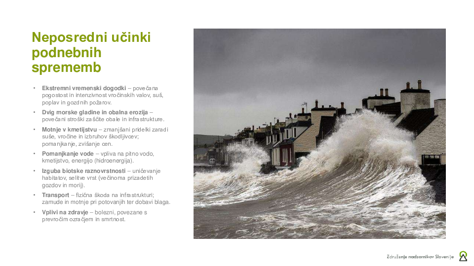 Trajnostno poslovanje  ("Izobraževanje za nadzornike")