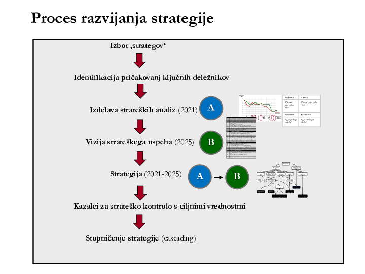 Trajnostne strategije