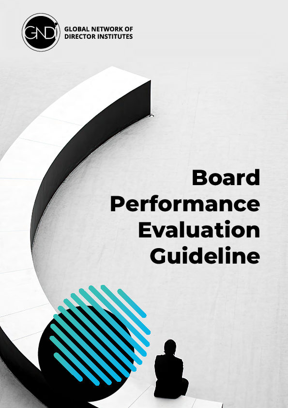 Board Performance Evaluation Guideline