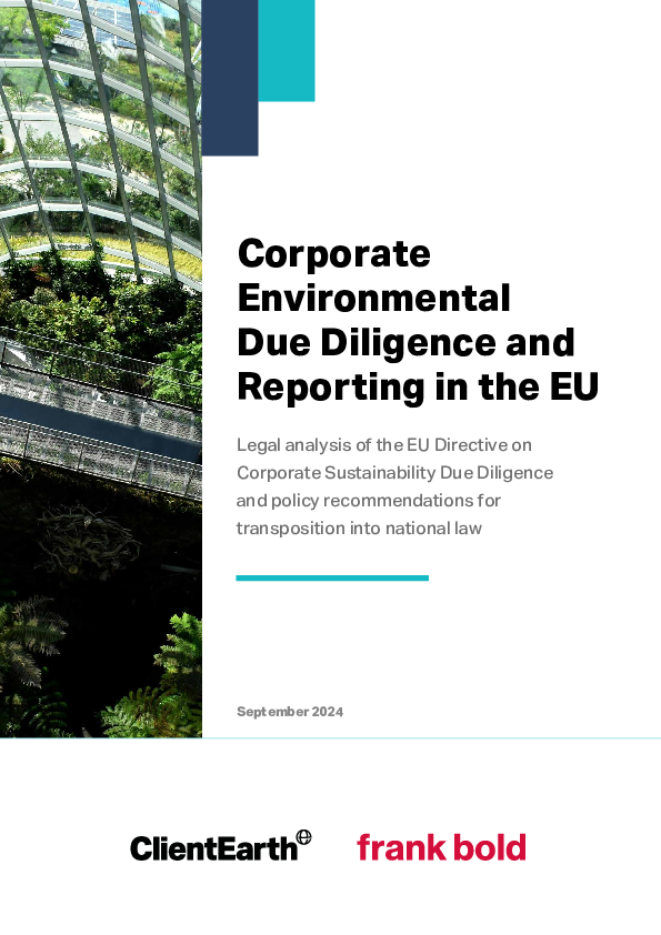 Legal Analysis: Corporate Environmental Due Diligence and Reporting in the EU