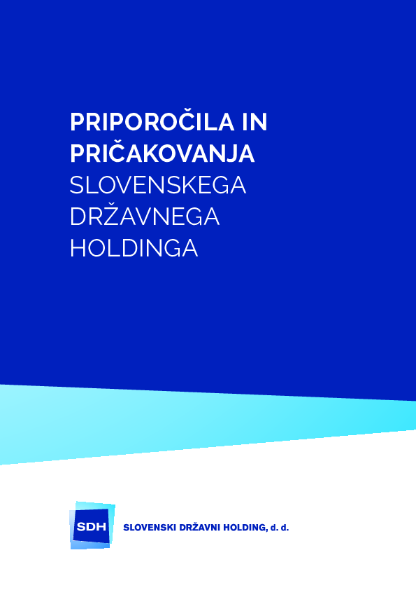 Priporočila in pričakovanja Slovenskega državnega holdinga, d.d.