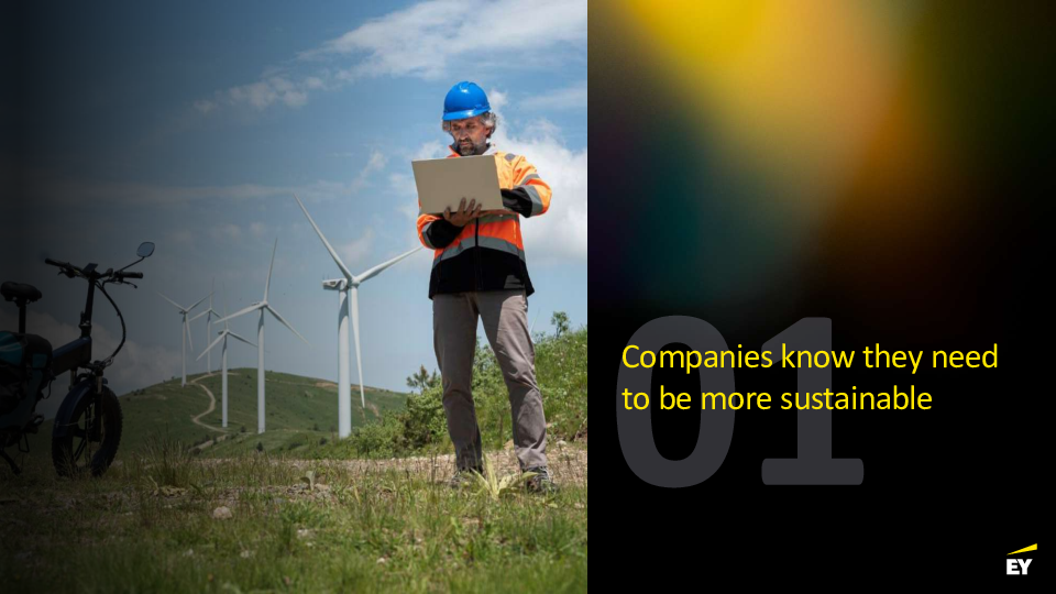 The Future of Sustainability in Business