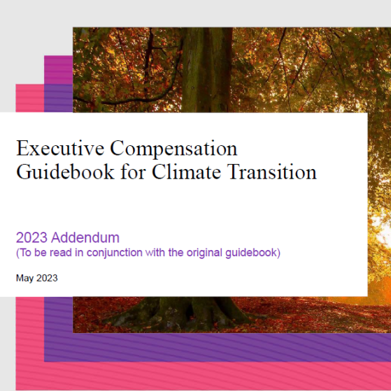 NOVO: Priročnik o nagrajevanju vodilnih pri podnebnem prehodu (2023)