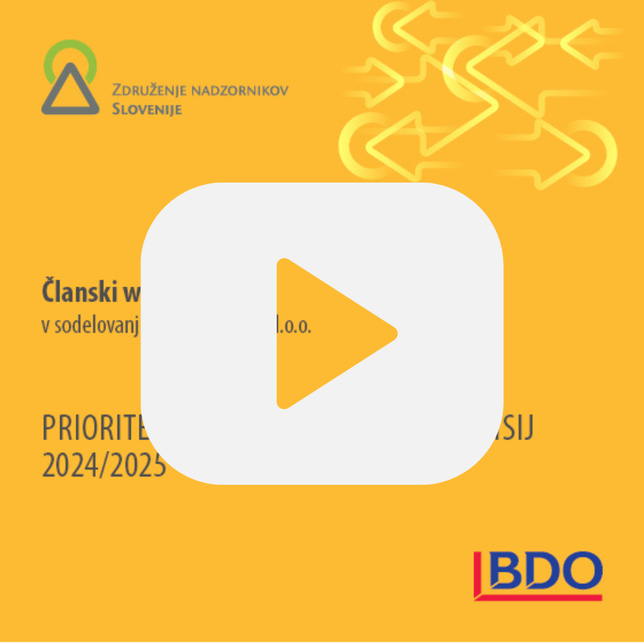 POSNETEK - webinar: Prioritete za delo revizijskih komisij 2024/2025