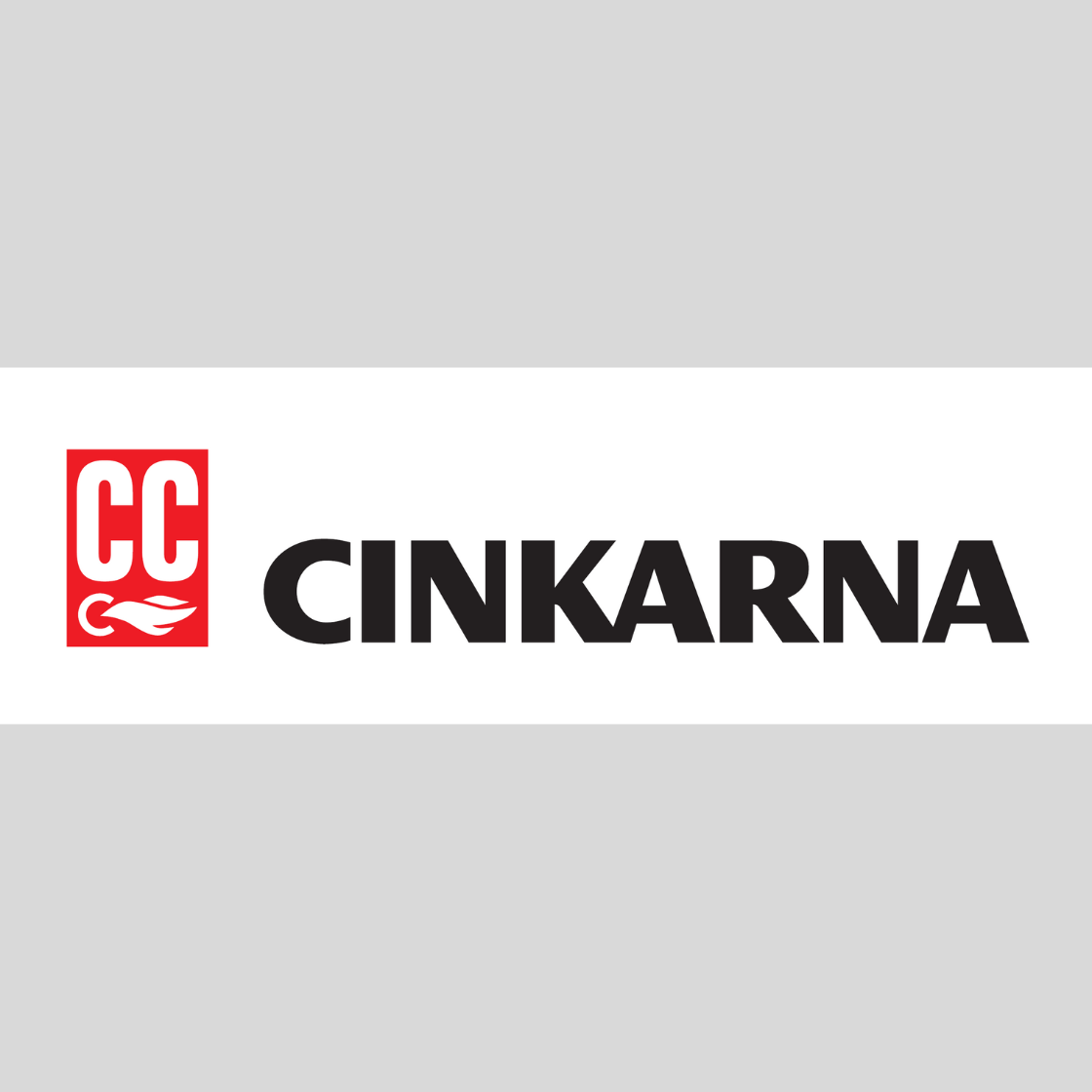 Družba Cinkarna Celje, d. d. je nov korporativni član ZNS