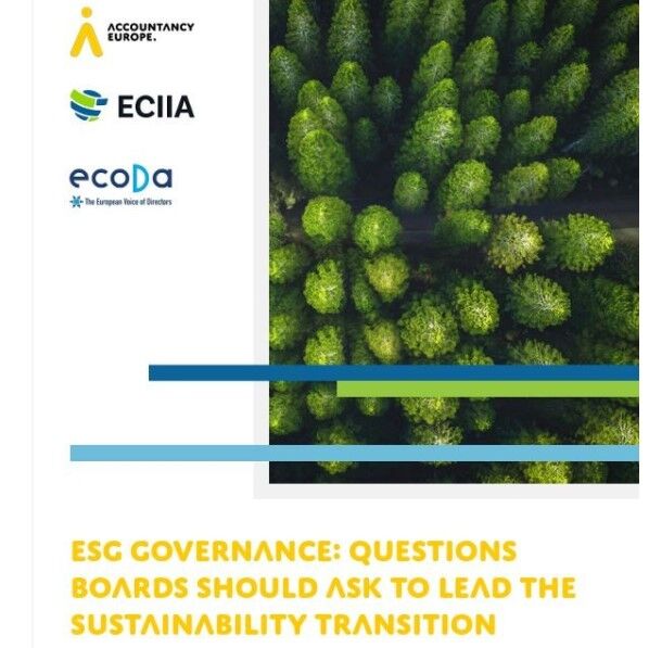 NOVO! - ESG Governance: Questions Boards should ask to lead the sustainability transition